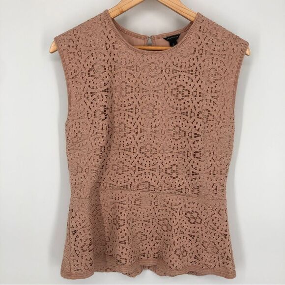Ann Taylor Lace Peplum Top Womens Medium Pink Cap Sleeve Zip Back Slit Back - Picture 2 of 13